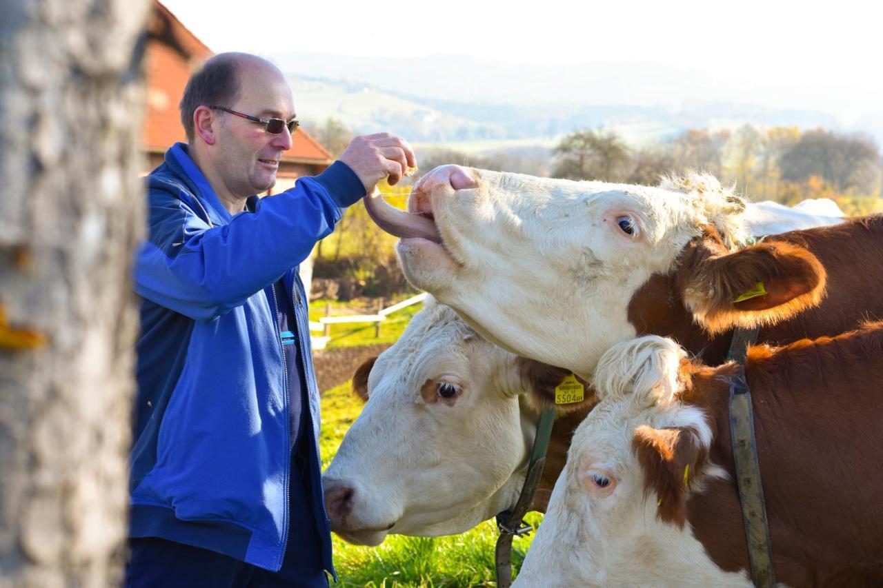 Straussenhof Halmer Oberndorf an der Melk Esterno foto